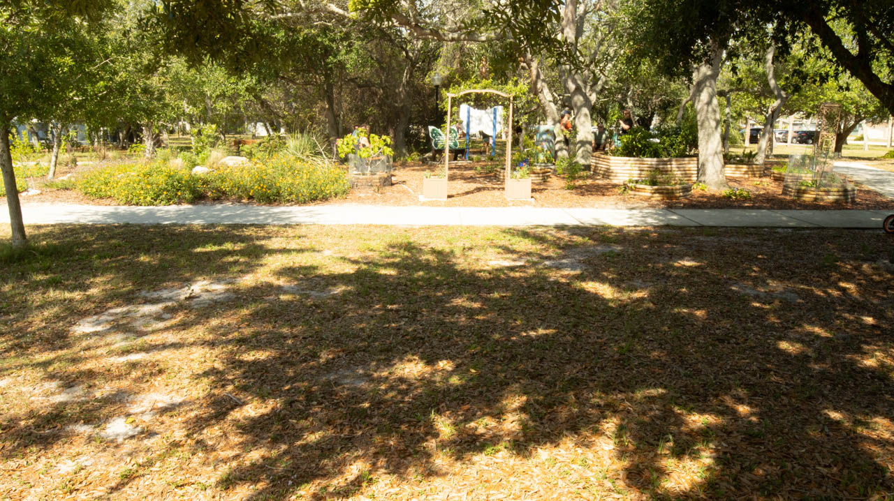 Butterfly Garden